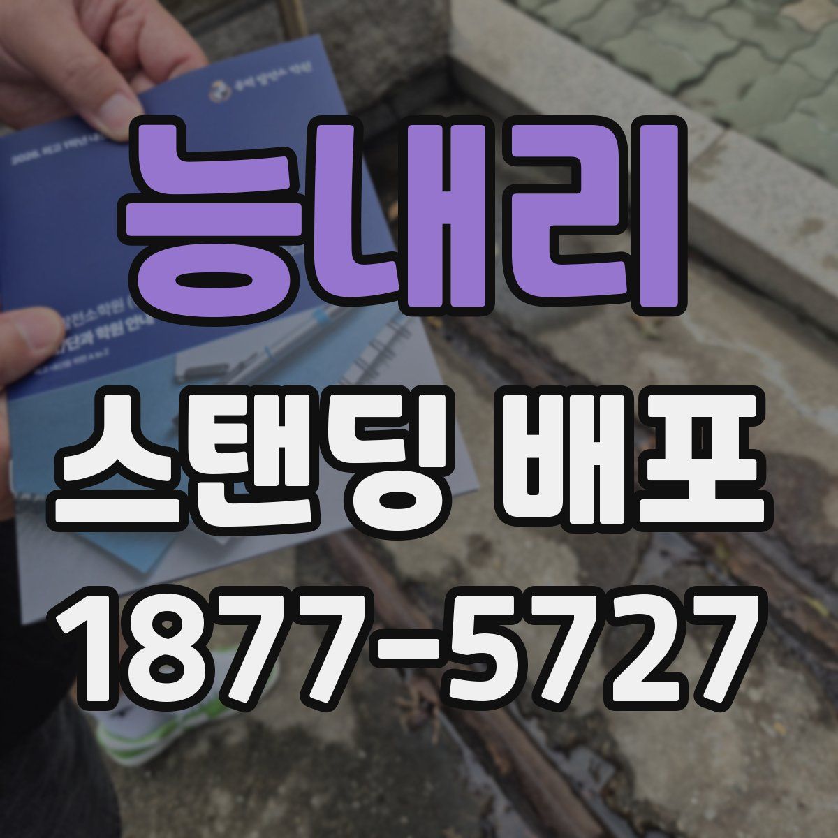 능내리 스탠딩 배포