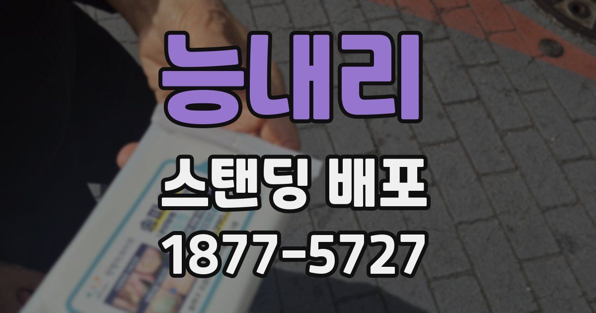 능내리 스탠딩 배포