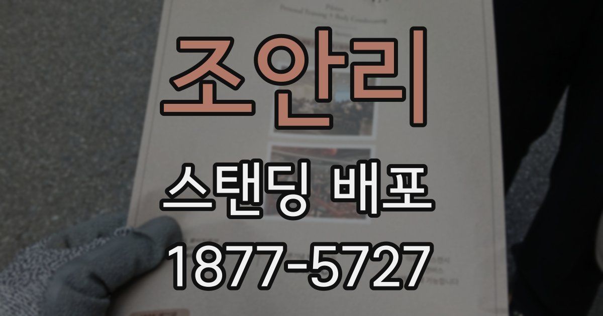 조안리 스탠딩 배포