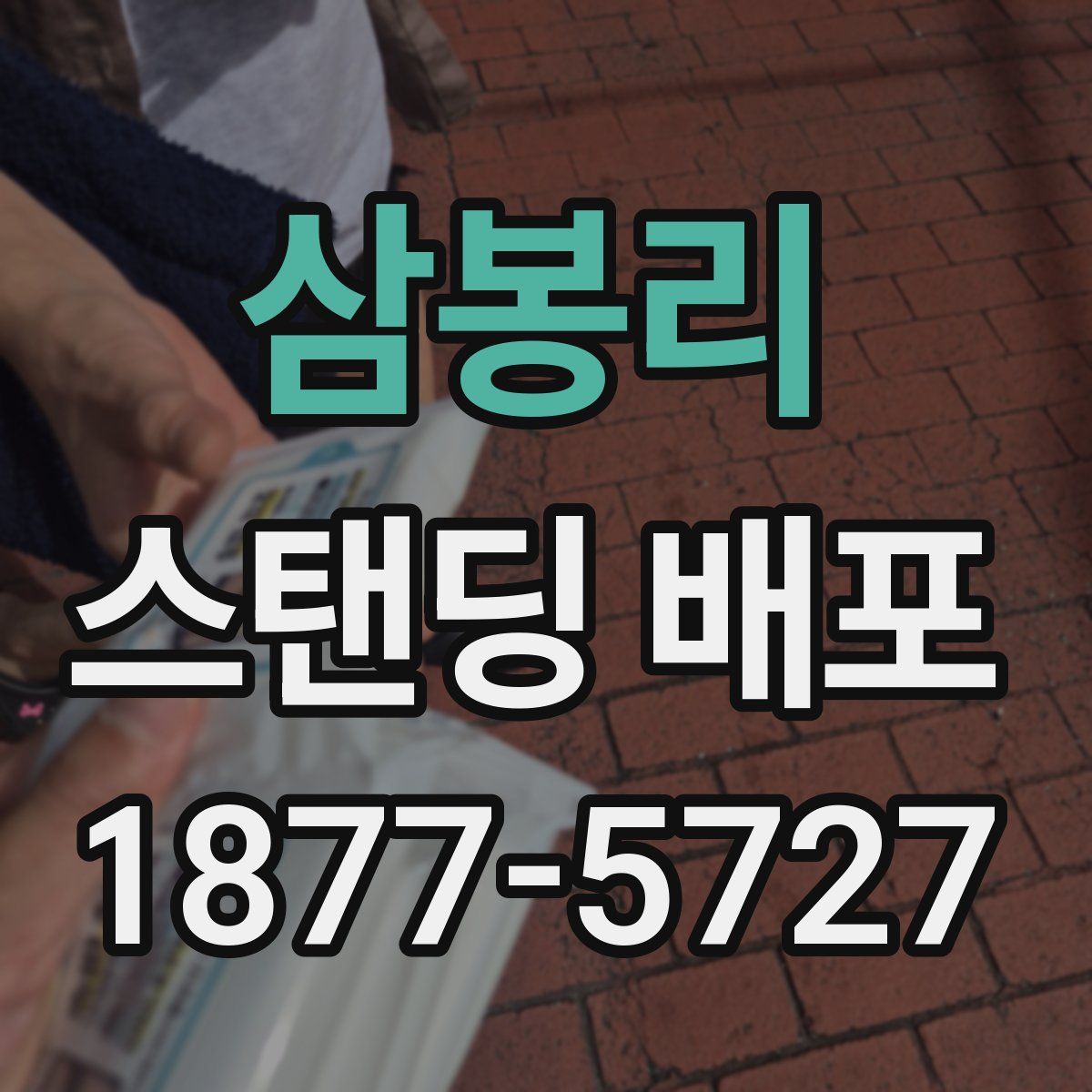 삼봉리 스탠딩 배포