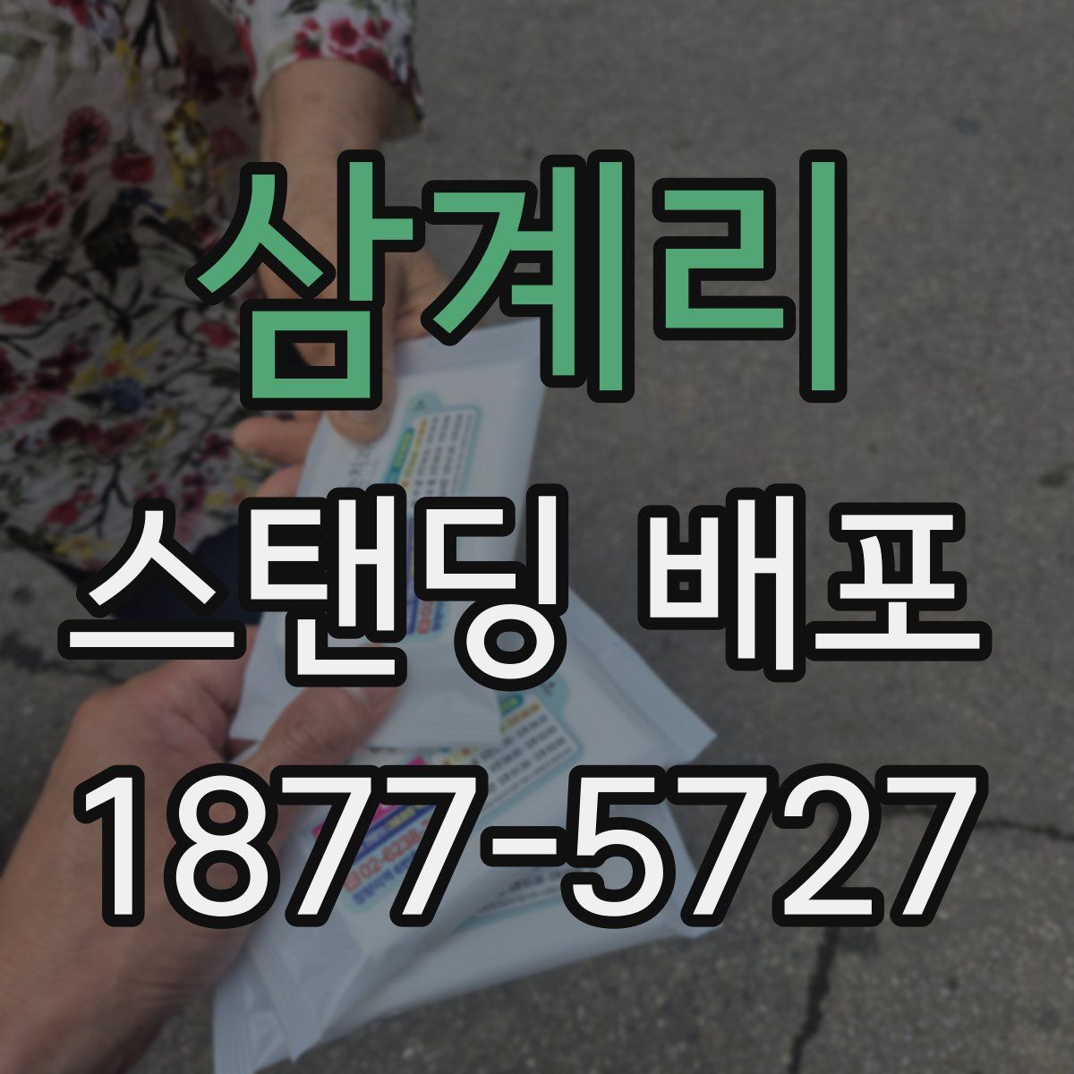 삼계리 스탠딩 배포