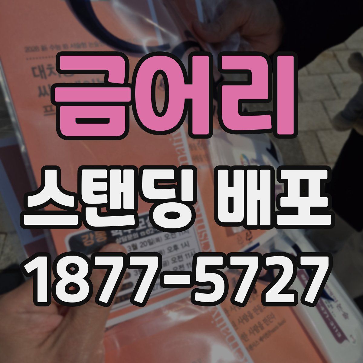 금어리 스탠딩 배포