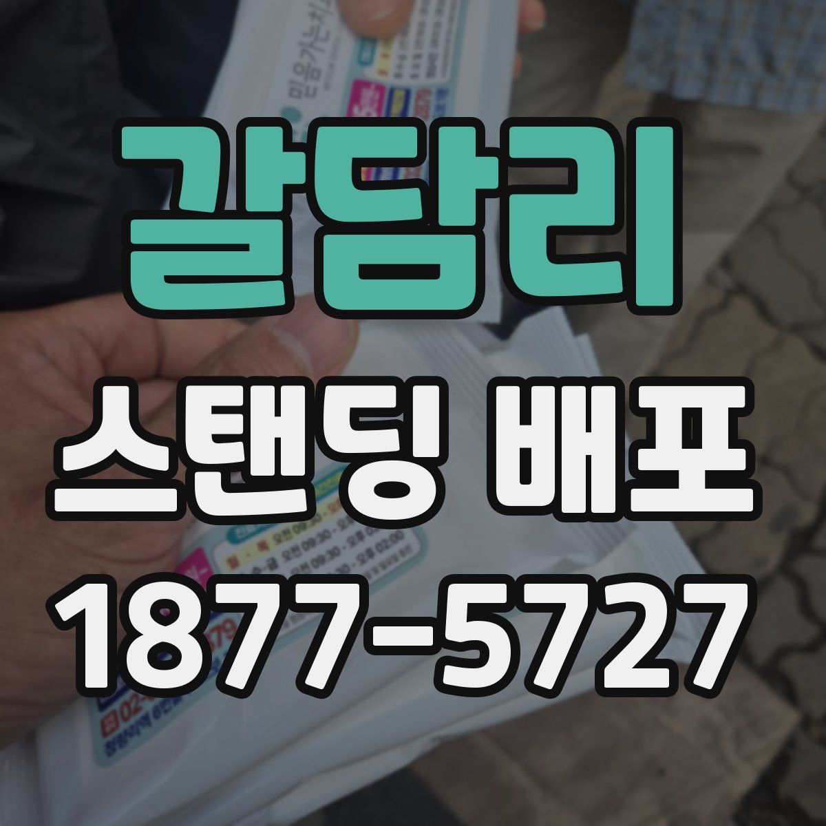 갈담리 스탠딩 배포