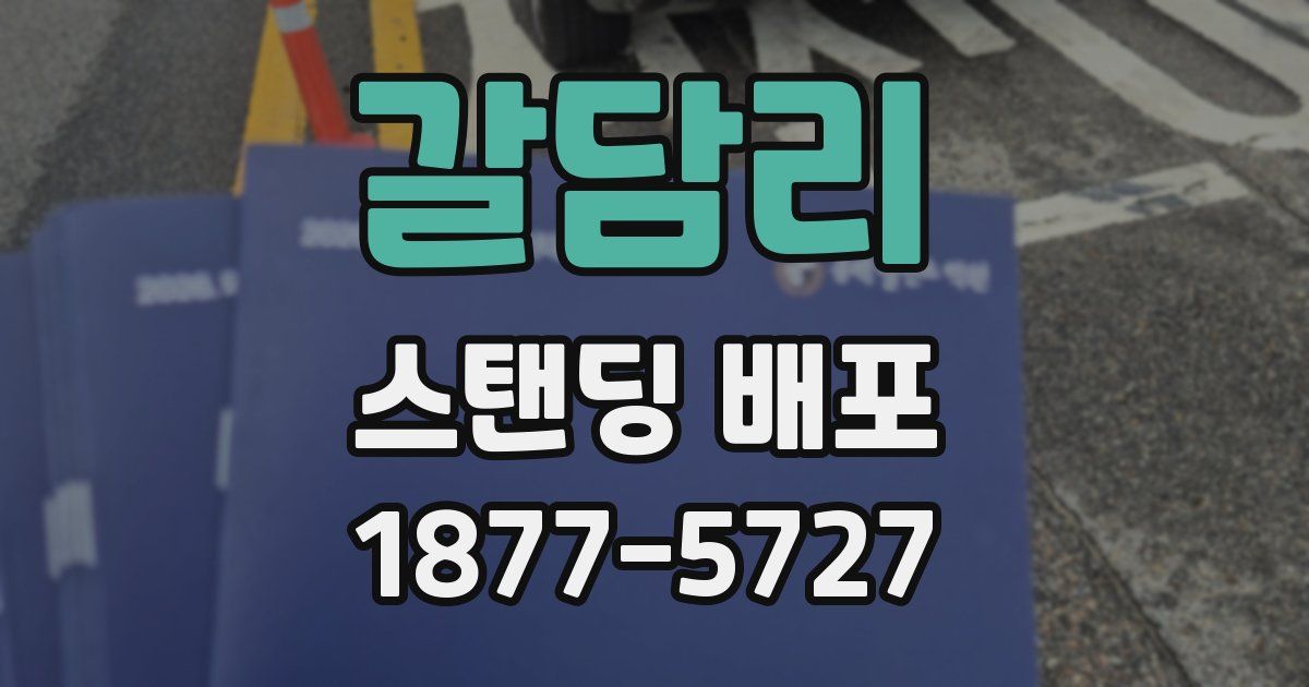 갈담리 스탠딩 배포