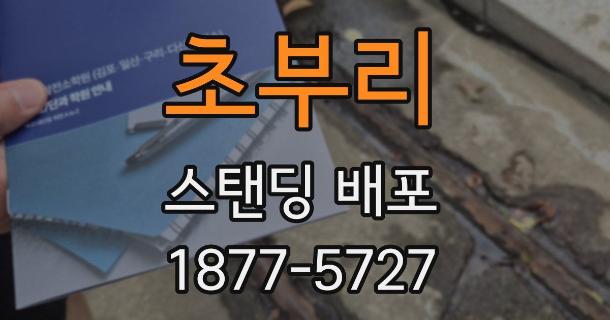 초부리 스탠딩 배포