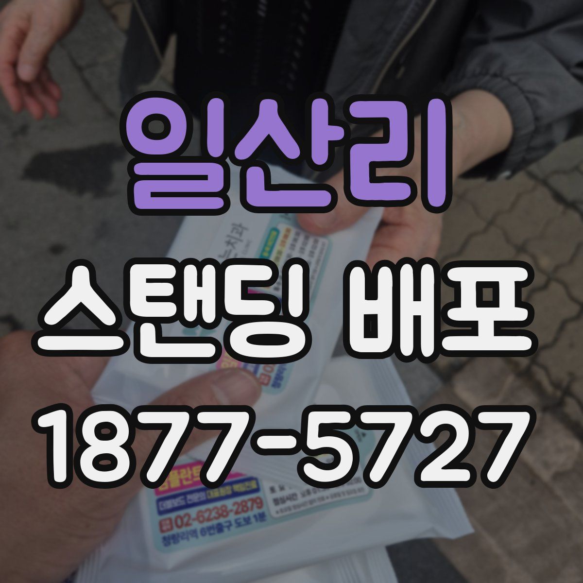 일산리 스탠딩 배포