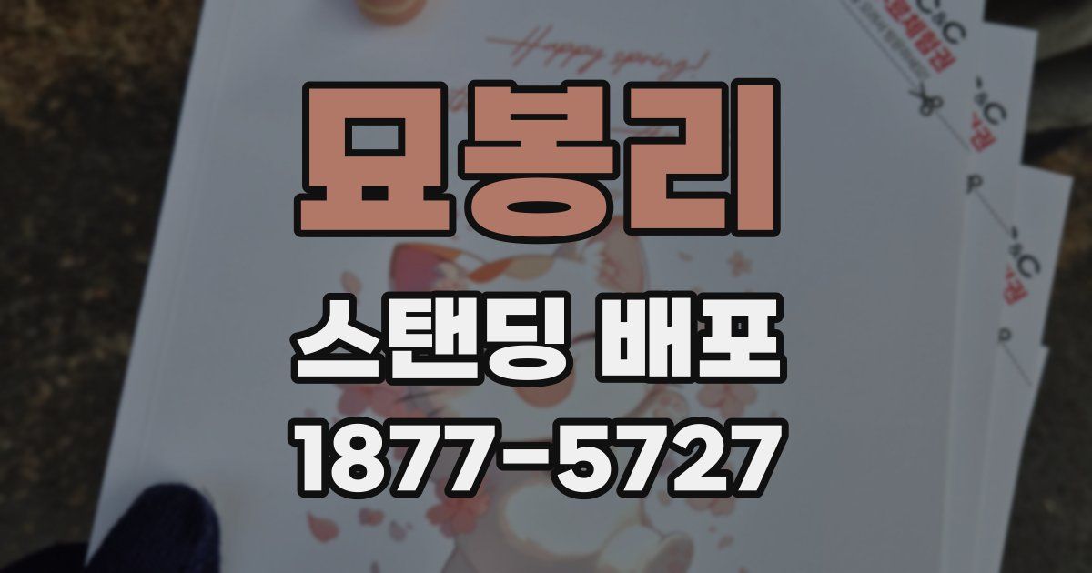 묘봉리 스탠딩 배포
