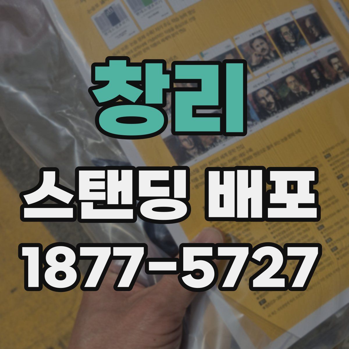 창리 스탠딩 배포