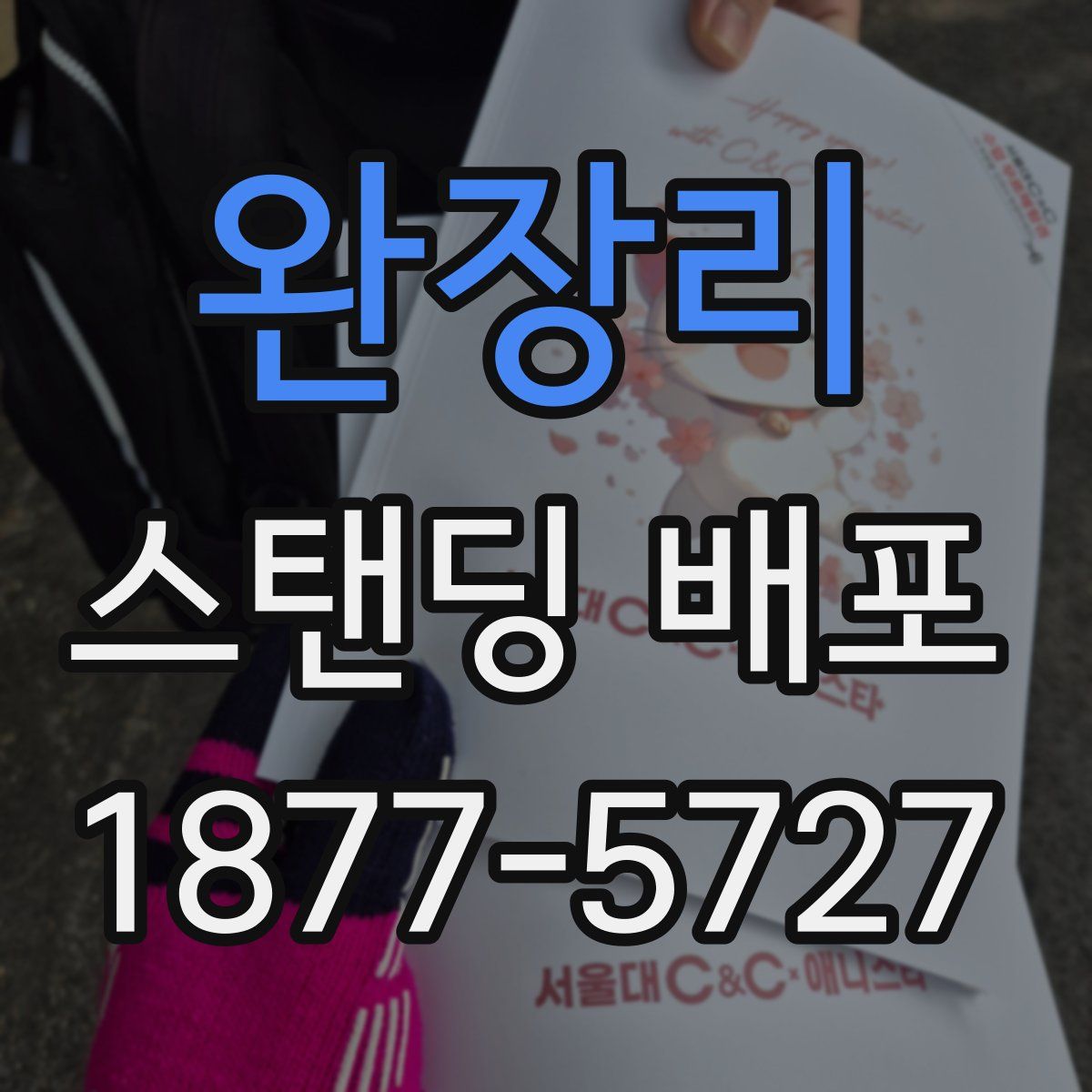 완장리 스탠딩 배포