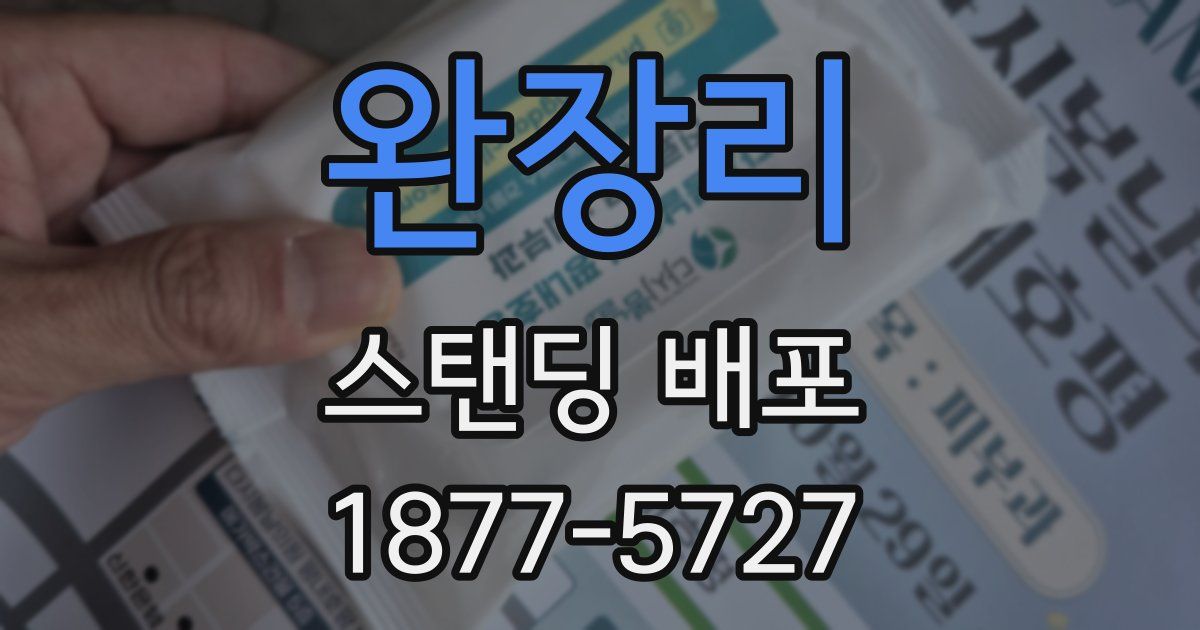 완장리 스탠딩 배포