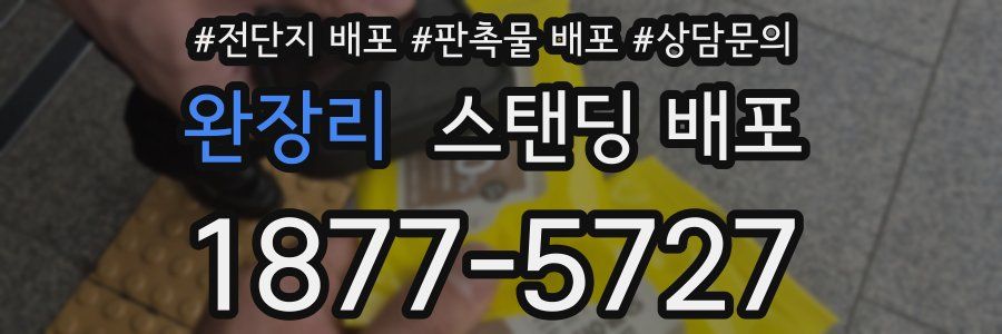 완장리 스탠딩 배포
