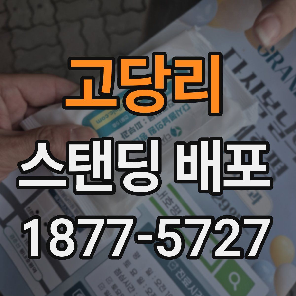 고당리 스탠딩 배포
