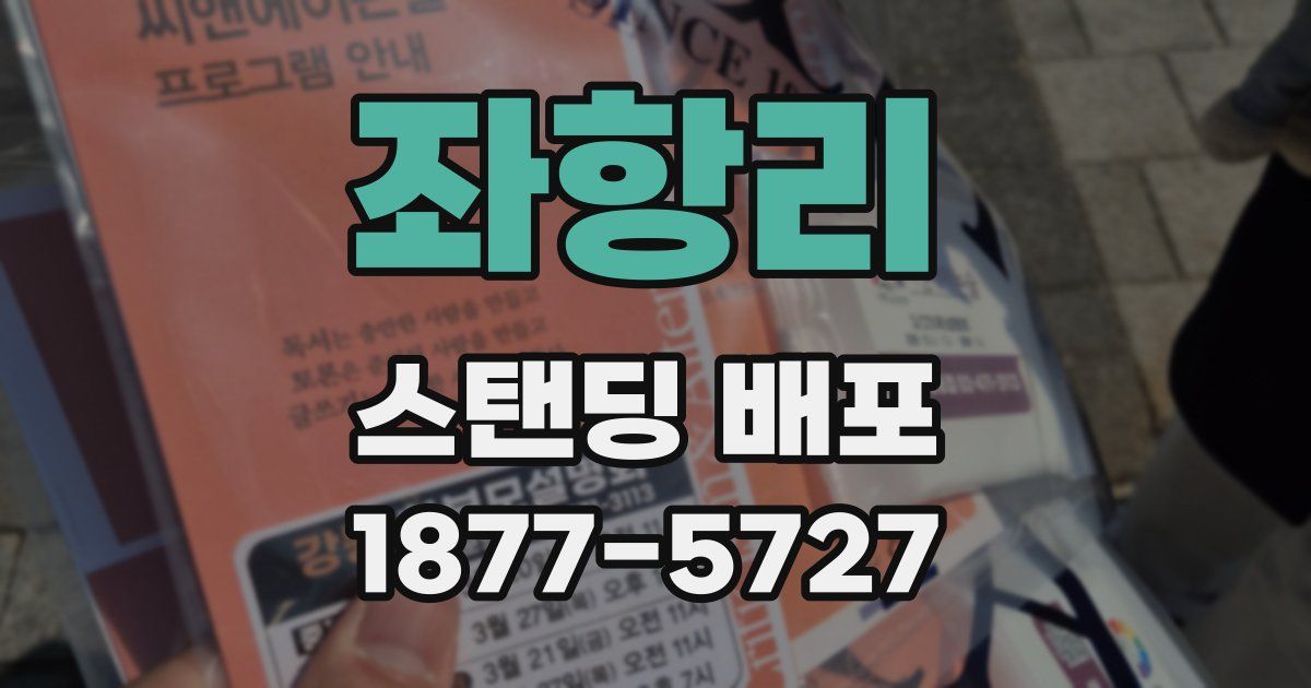 좌항리 스탠딩 배포