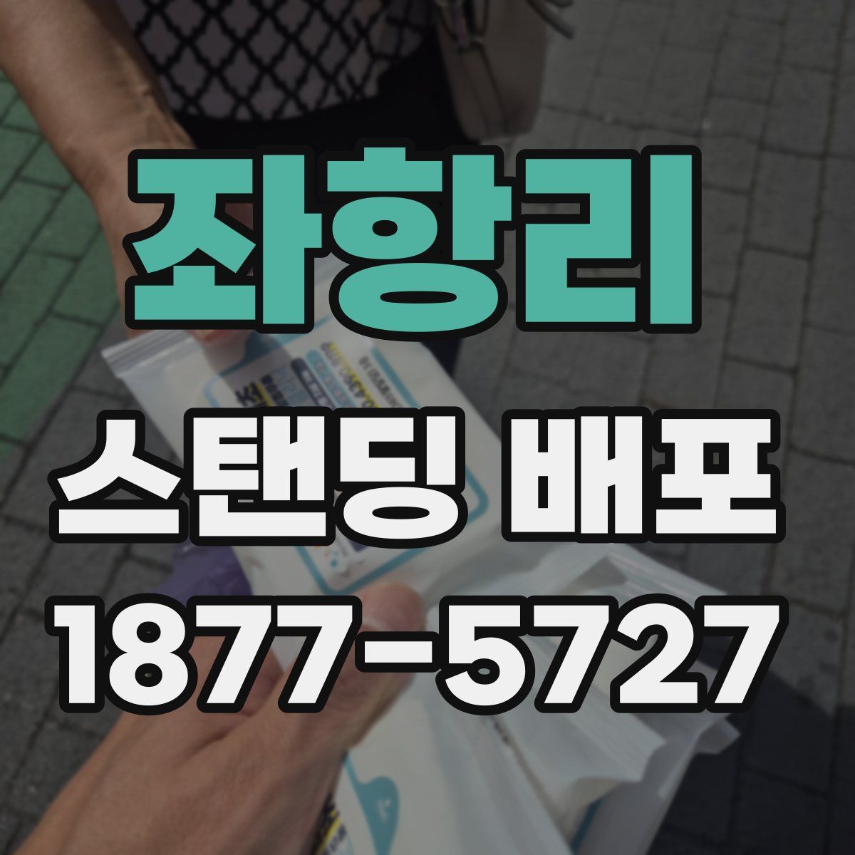 좌항리 스탠딩 배포