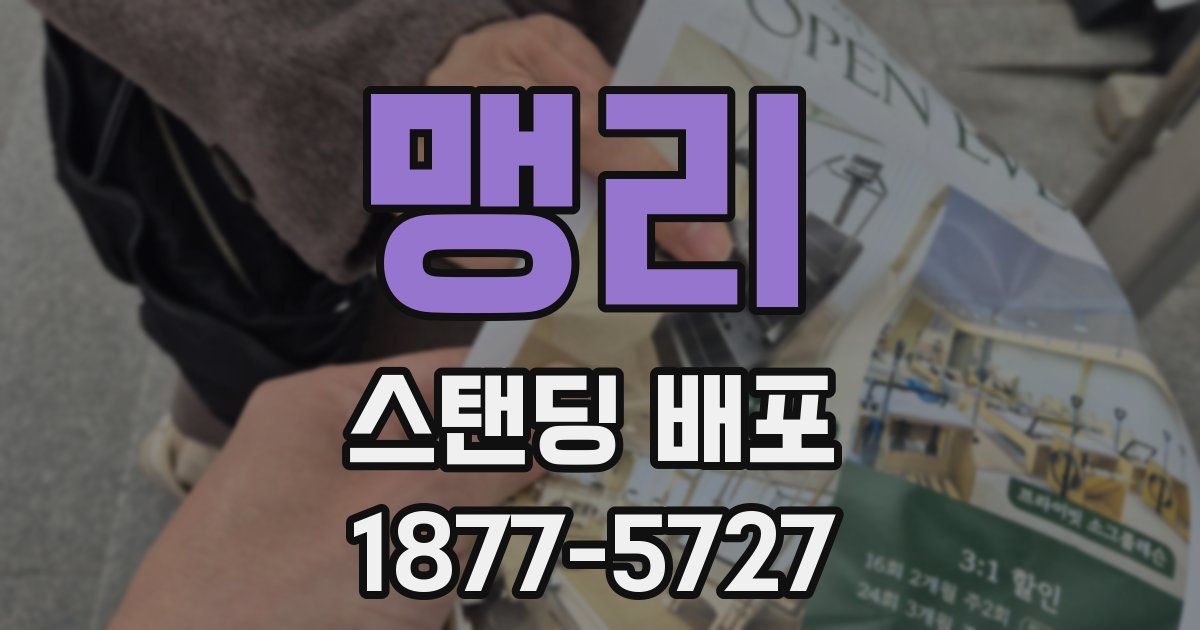 맹리 스탠딩 배포
