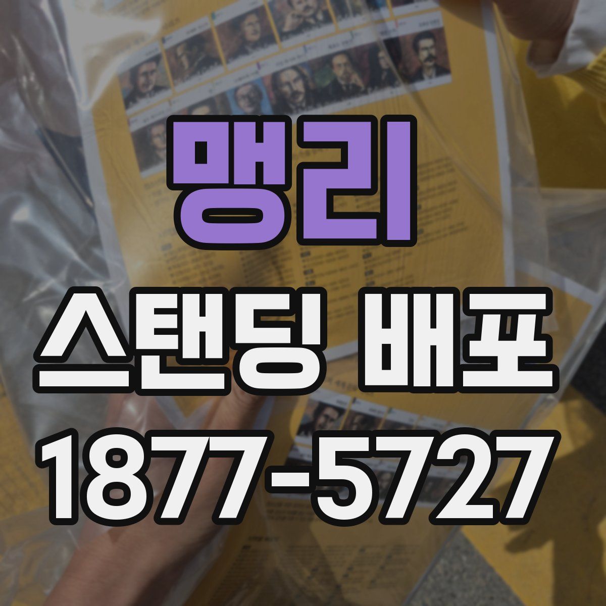 맹리 스탠딩 배포