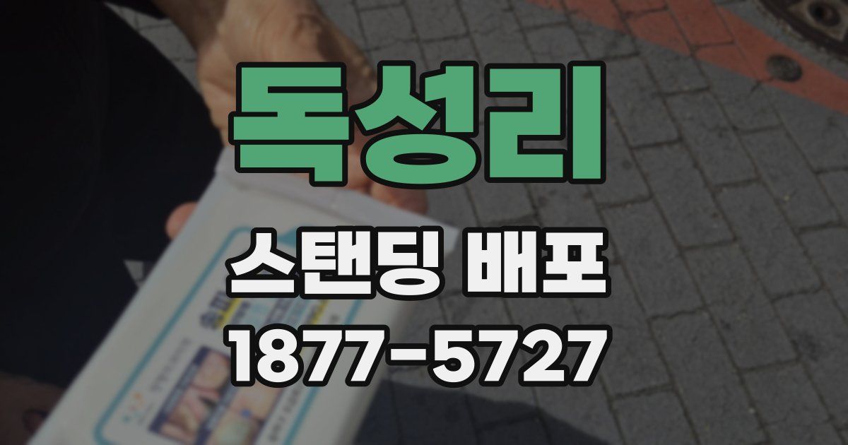 독성리 스탠딩 배포