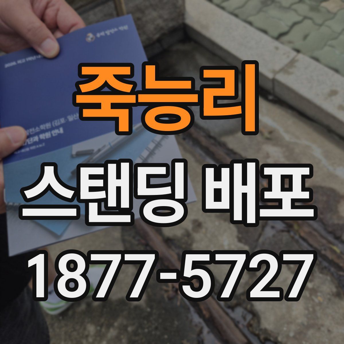 죽능리 스탠딩 배포