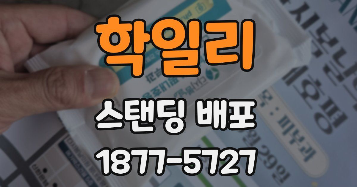 학일리 스탠딩 배포
