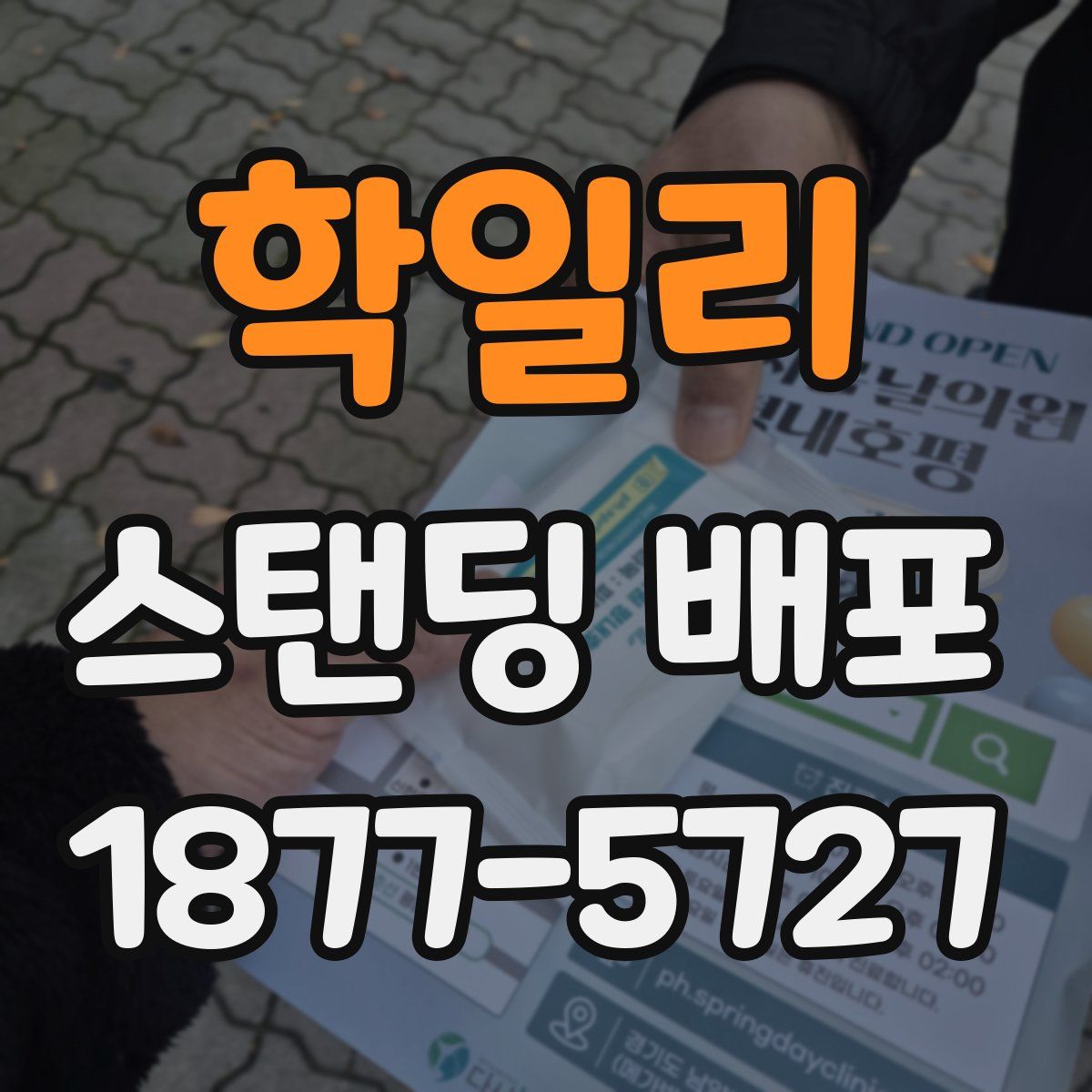 학일리 스탠딩 배포