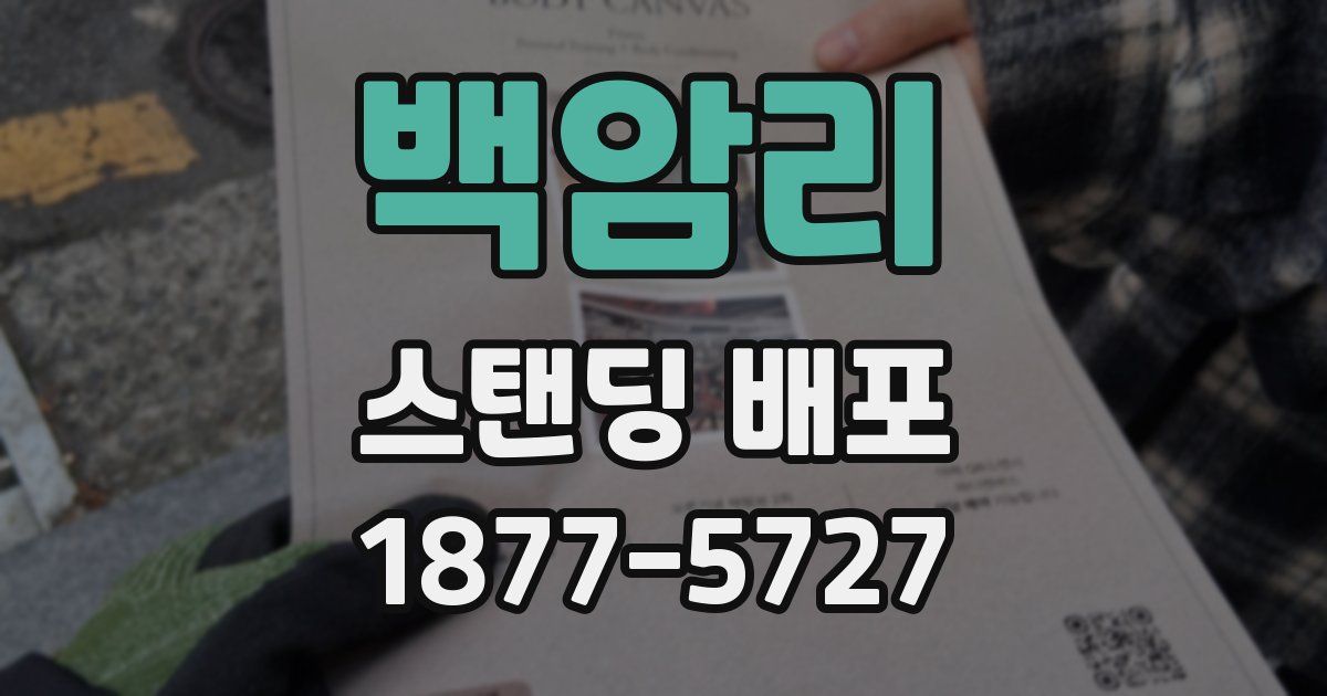 백암리 스탠딩 배포