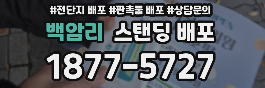 백암리 스탠딩 배포