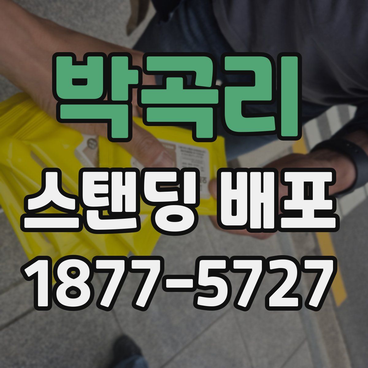 박곡리 스탠딩 배포