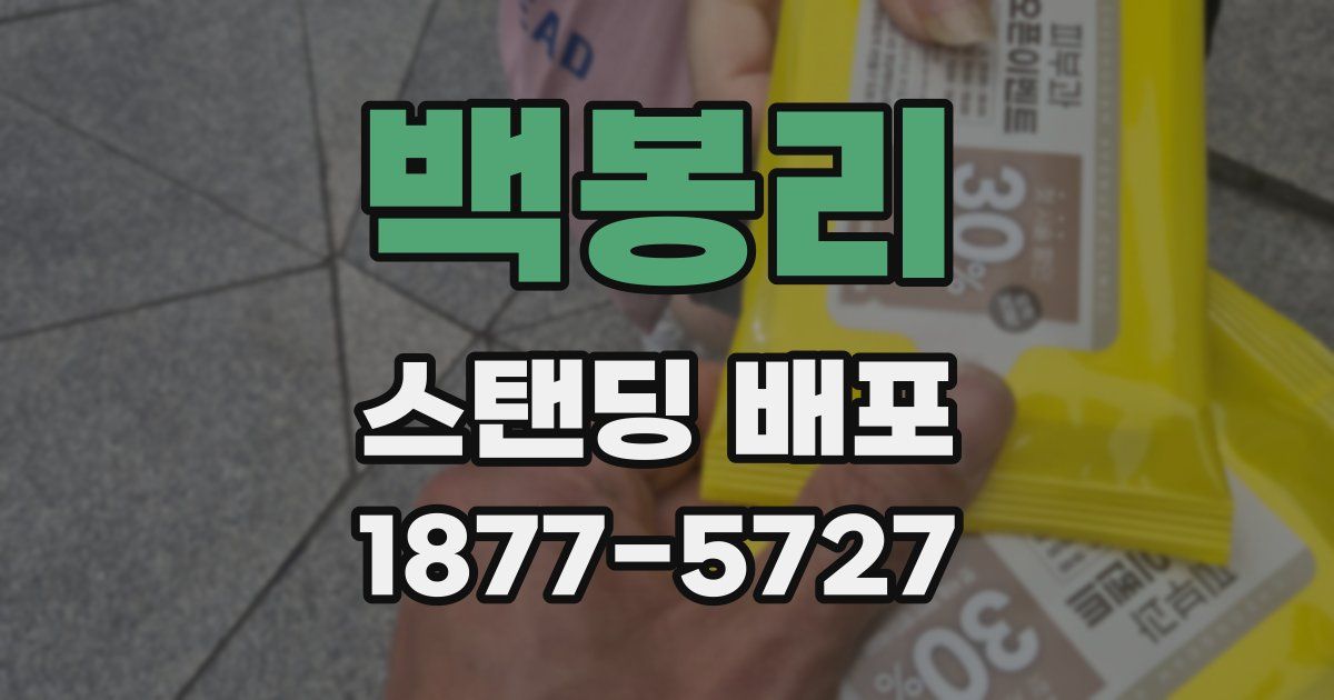 백봉리 스탠딩 배포