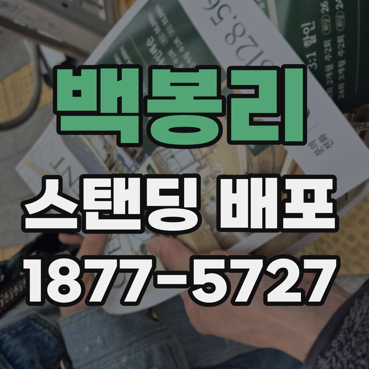 백봉리 스탠딩 배포