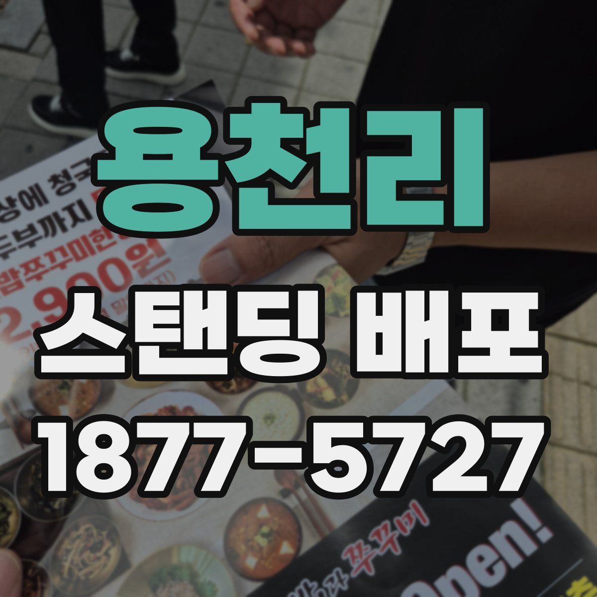 용천리 스탠딩 배포
