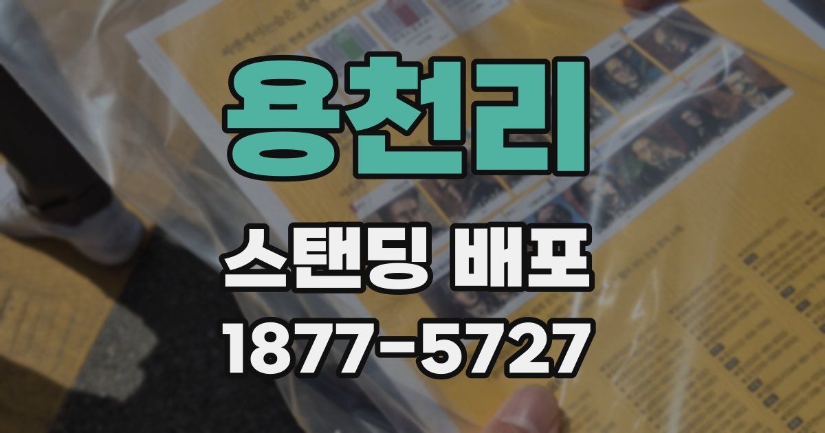 용천리 스탠딩 배포