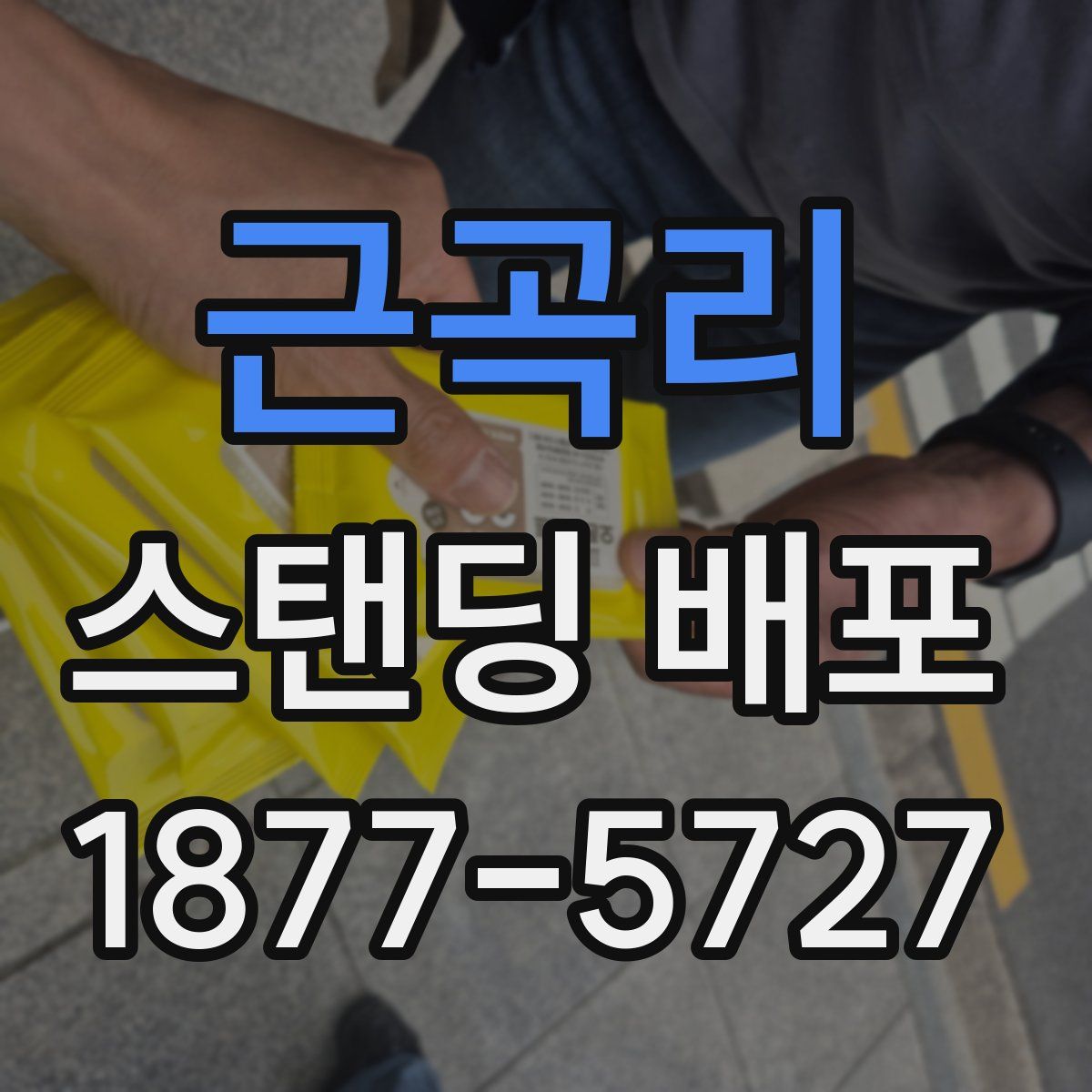 근곡리 스탠딩 배포