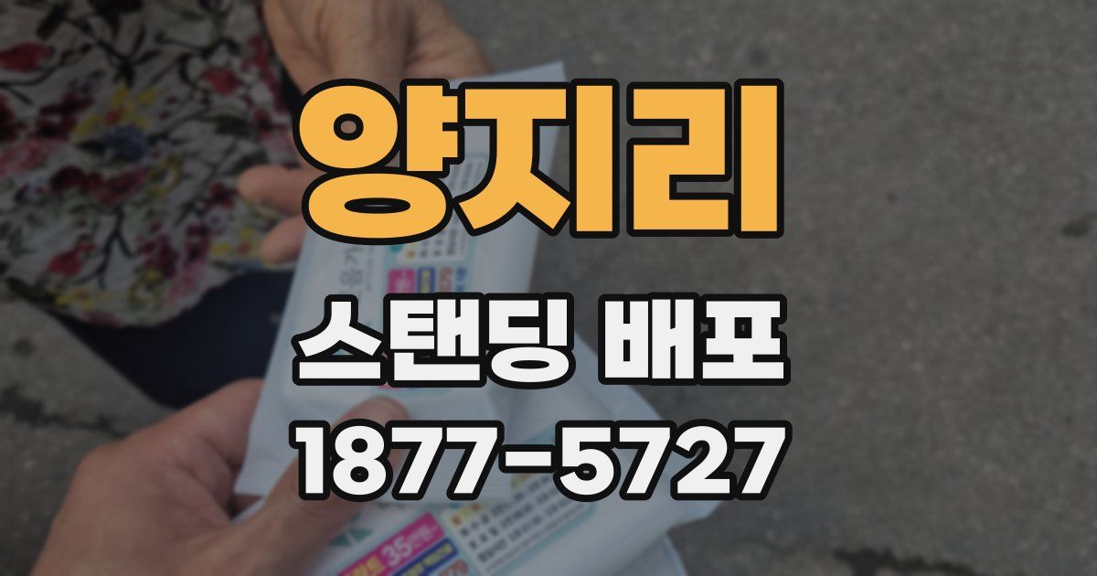 양지리 스탠딩 배포