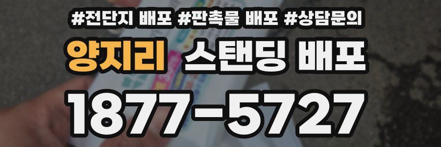 양지리 스탠딩 배포