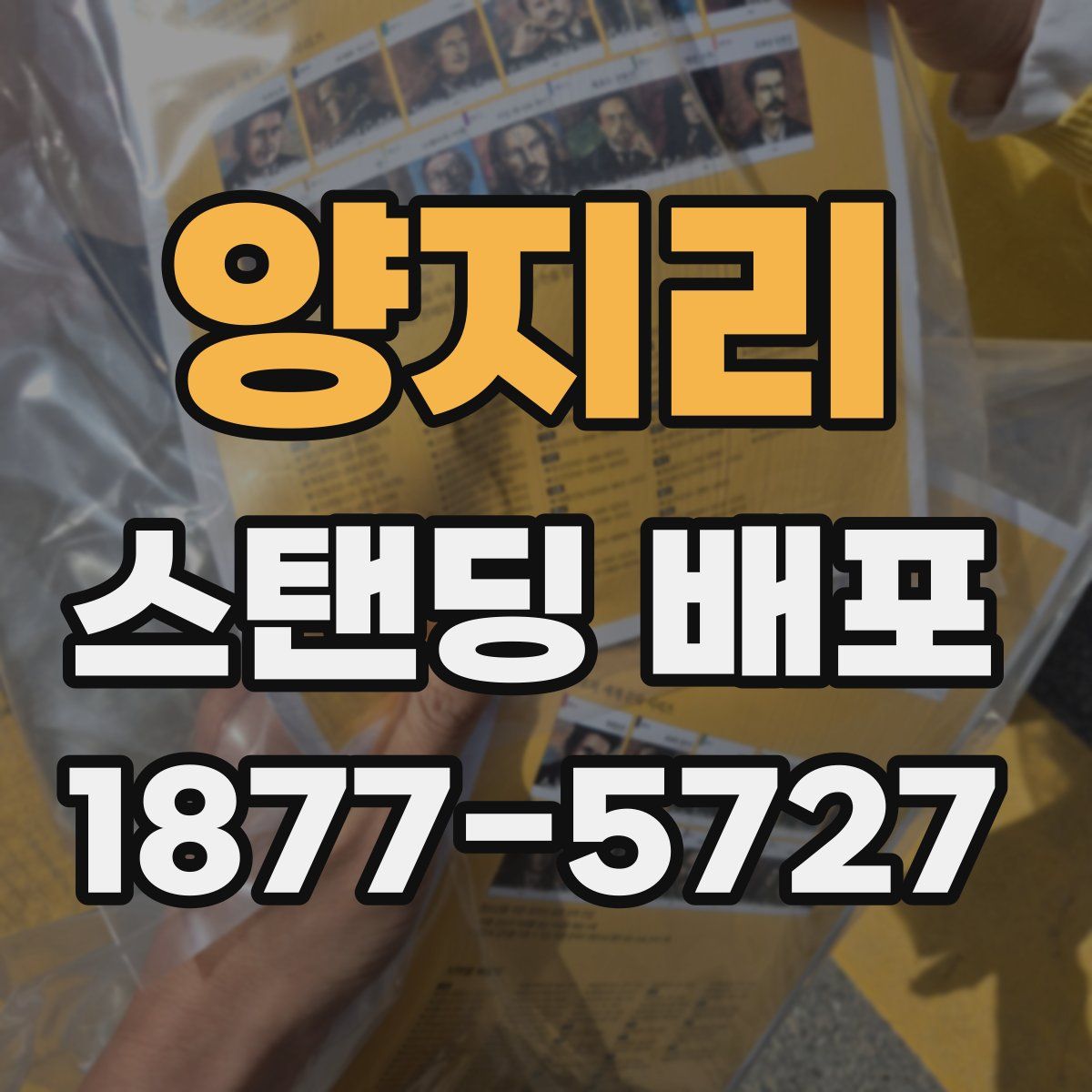 양지리 스탠딩 배포