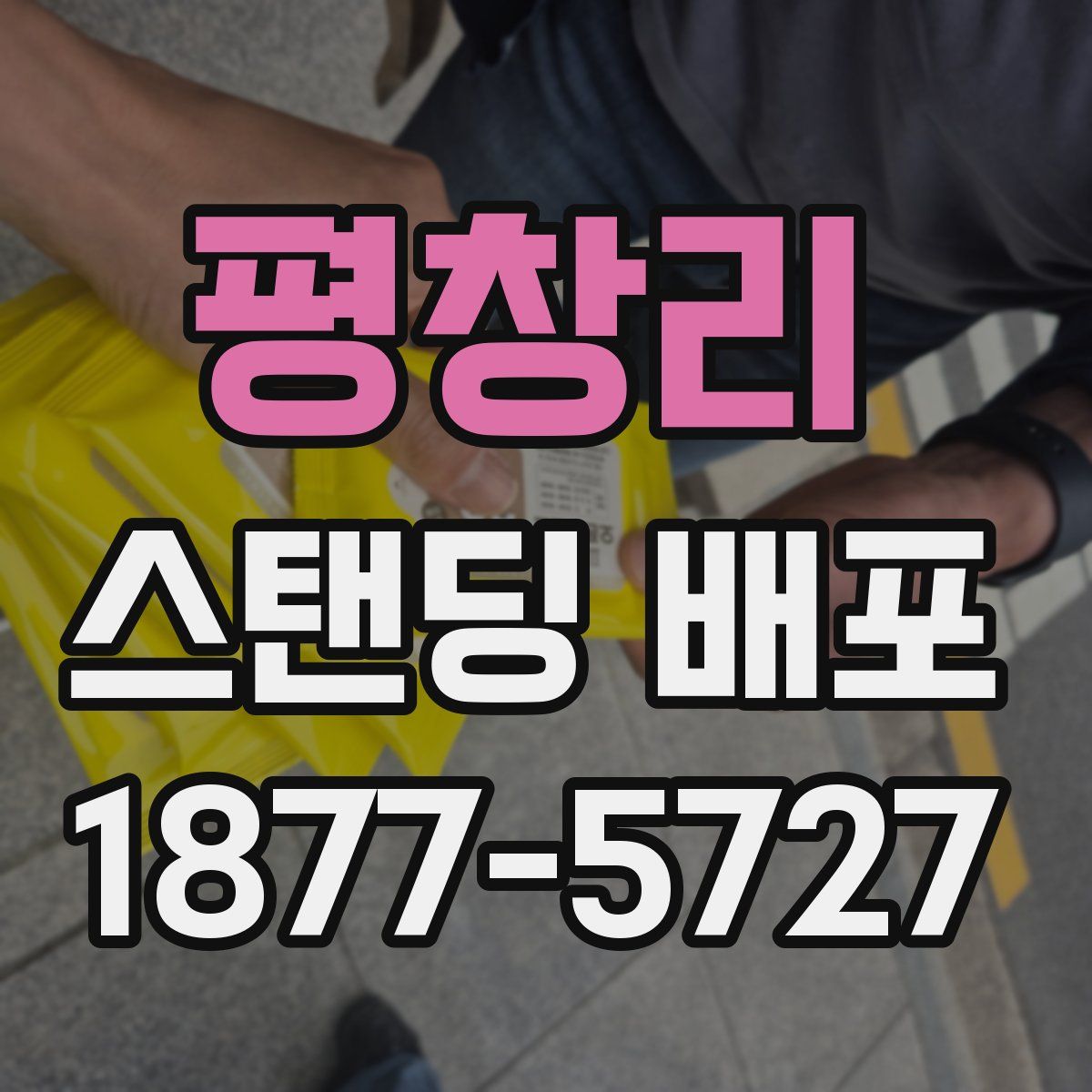 평창리 스탠딩 배포