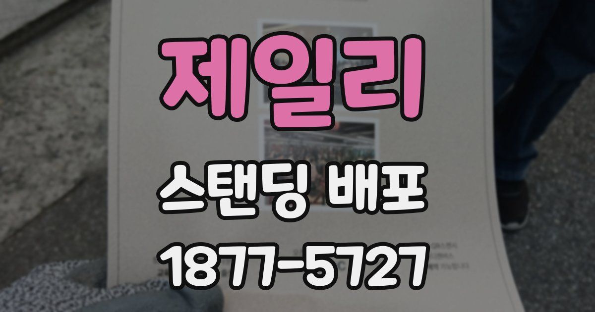 제일리 스탠딩 배포