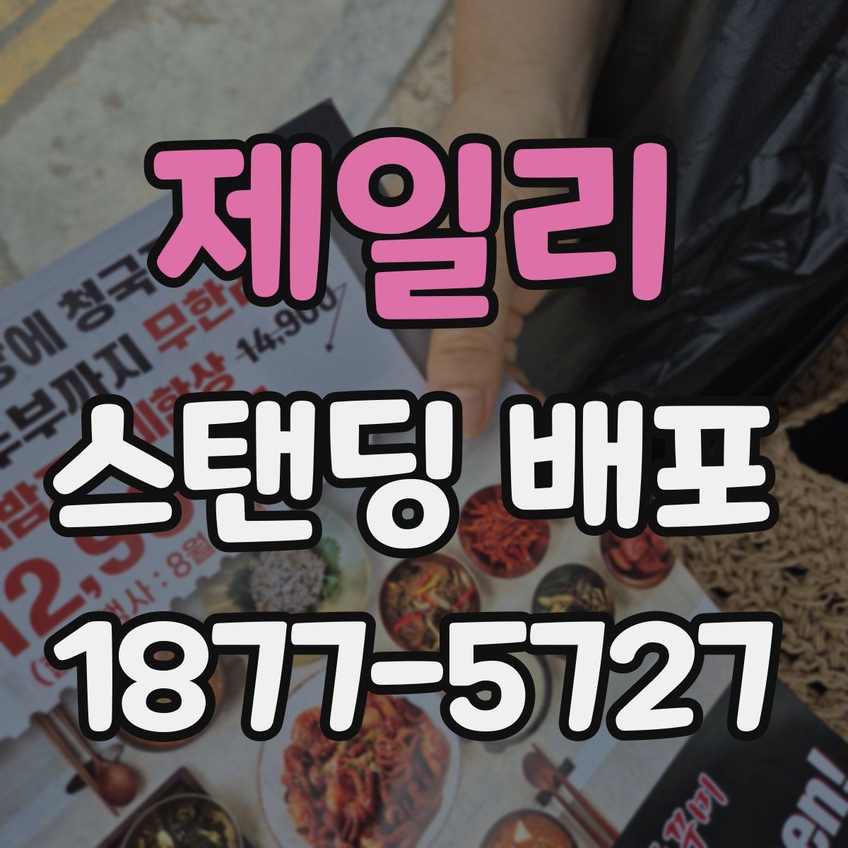제일리 스탠딩 배포