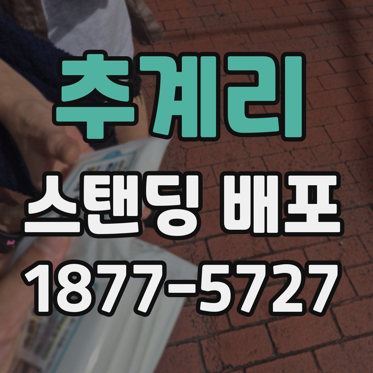 추계리 스탠딩 배포