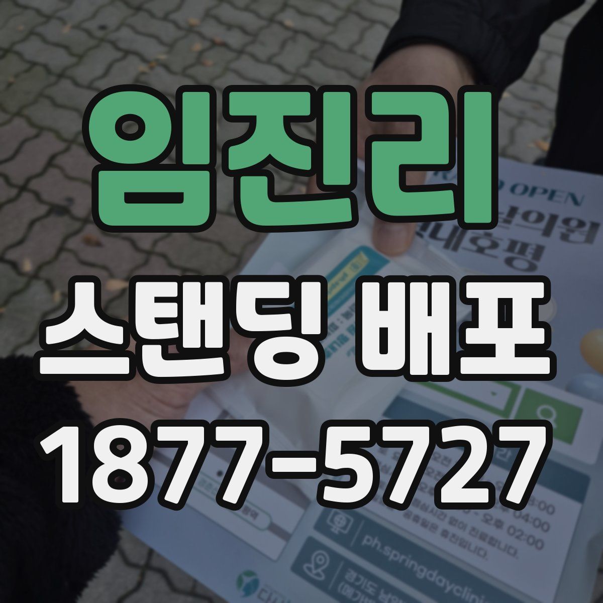 임진리 스탠딩 배포