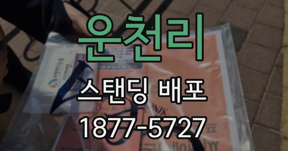 운천리 스탠딩 배포