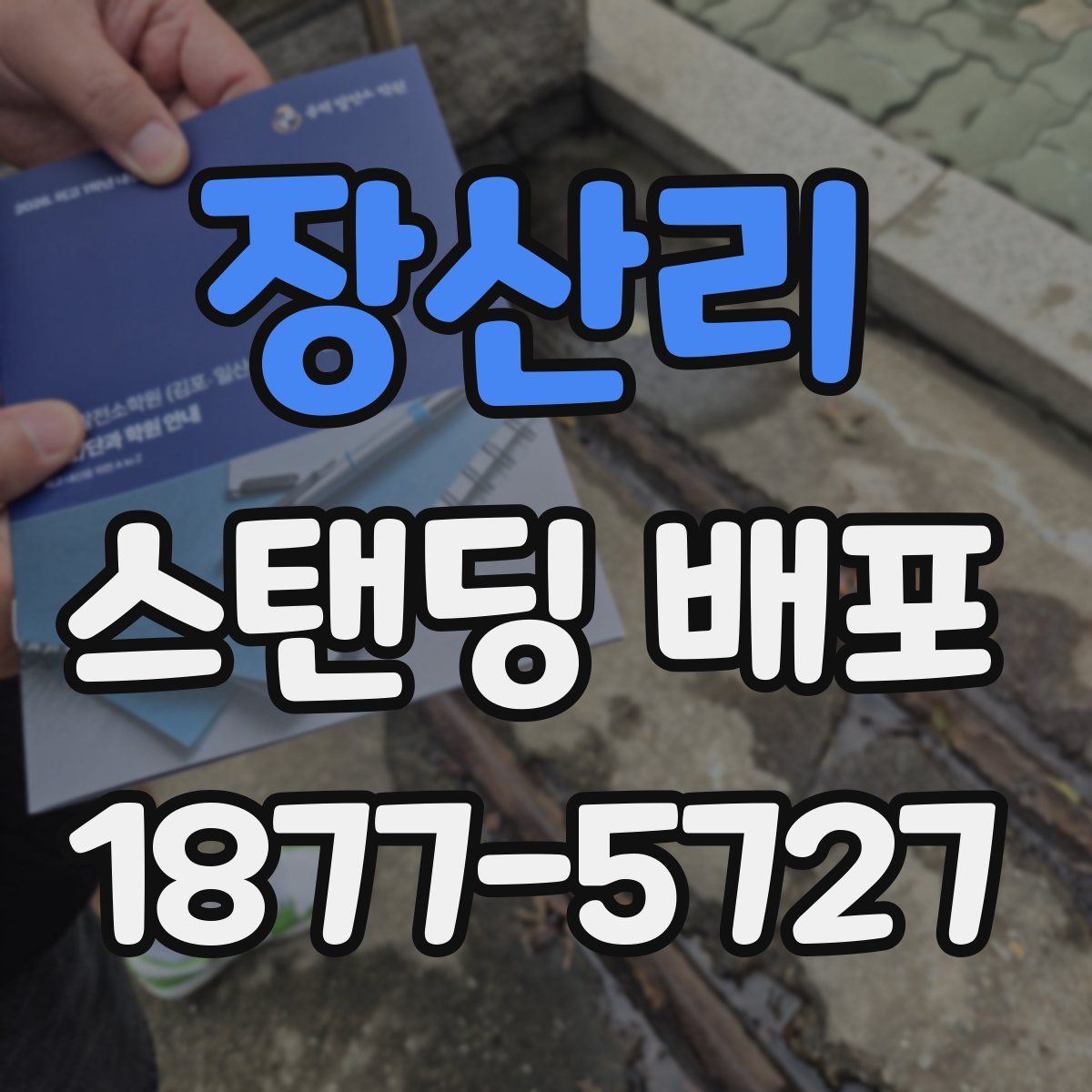 장산리 스탠딩 배포