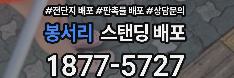 봉서리 스탠딩 배포