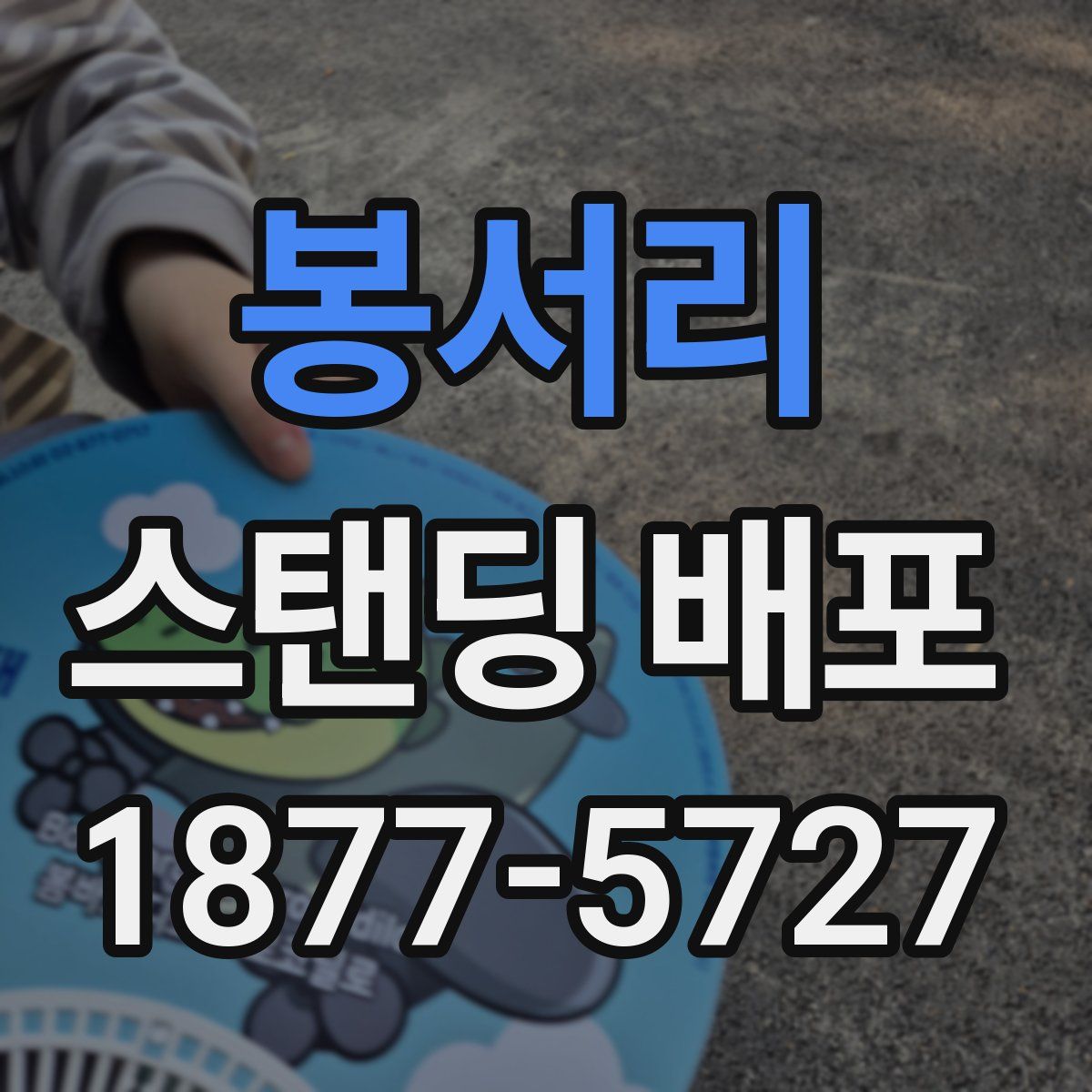 봉서리 스탠딩 배포