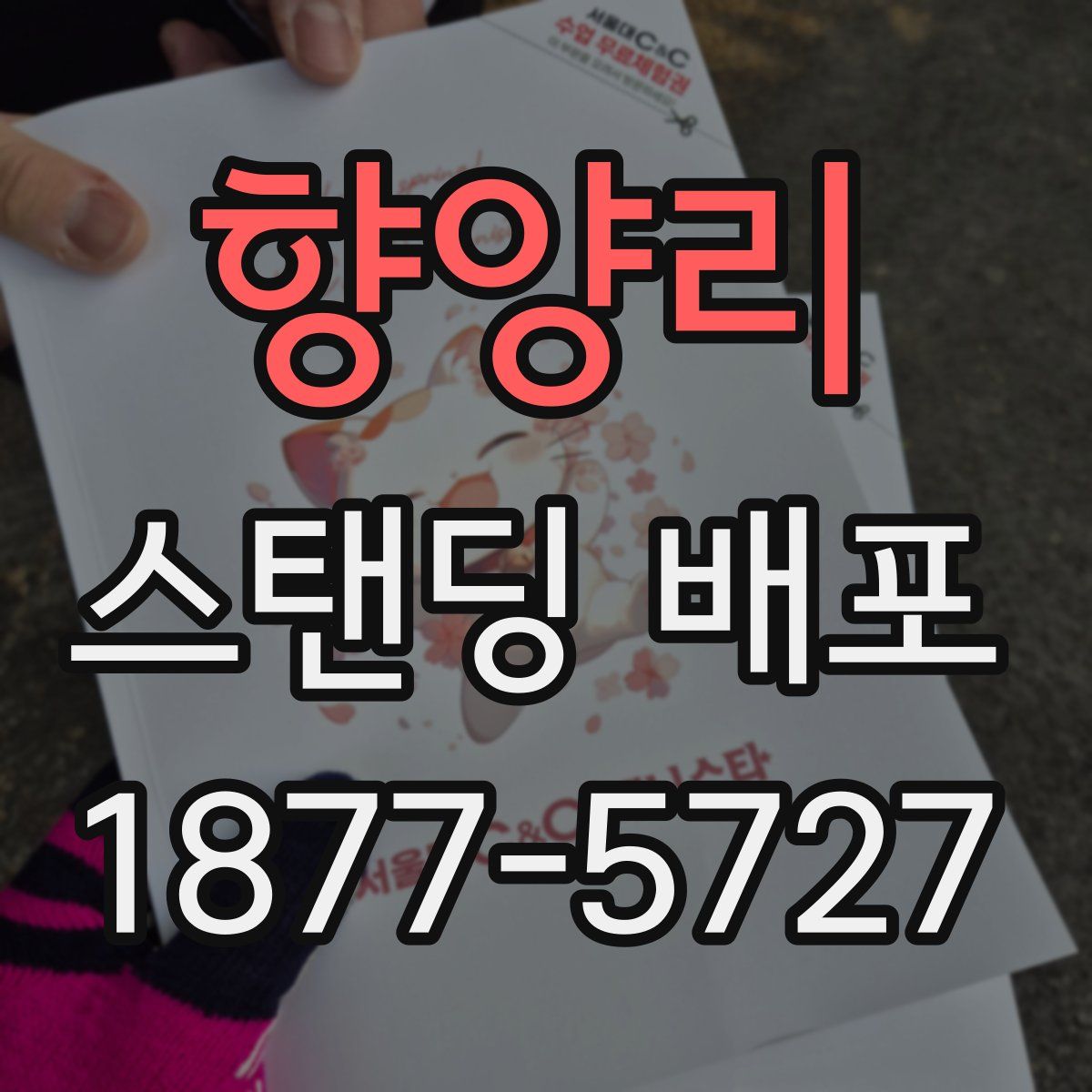 향양리 스탠딩 배포