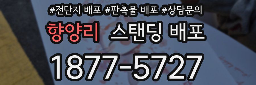 향양리 스탠딩 배포