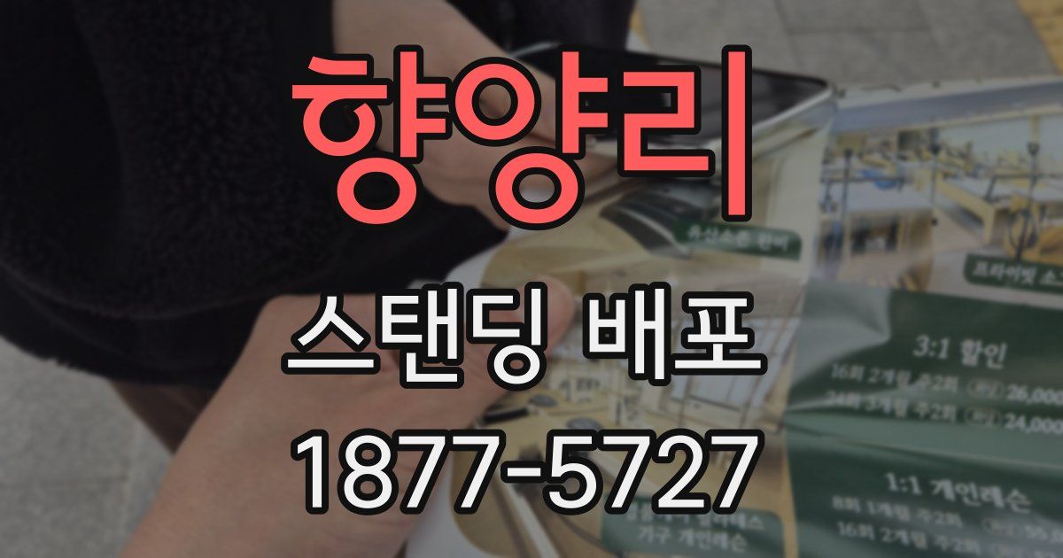 향양리 스탠딩 배포