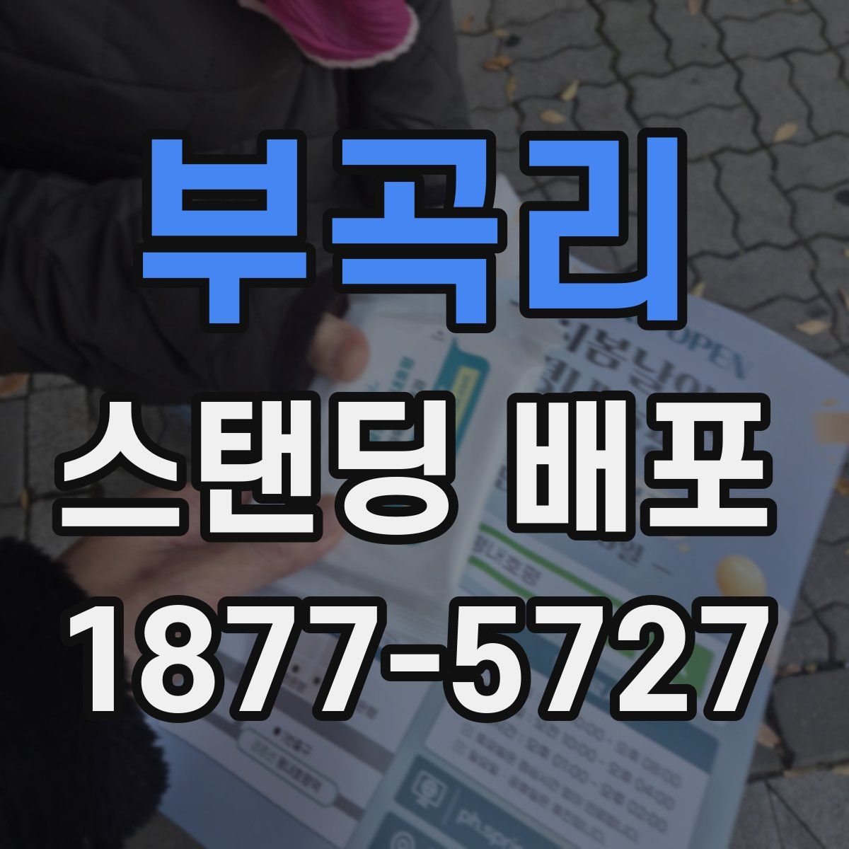 부곡리 스탠딩 배포