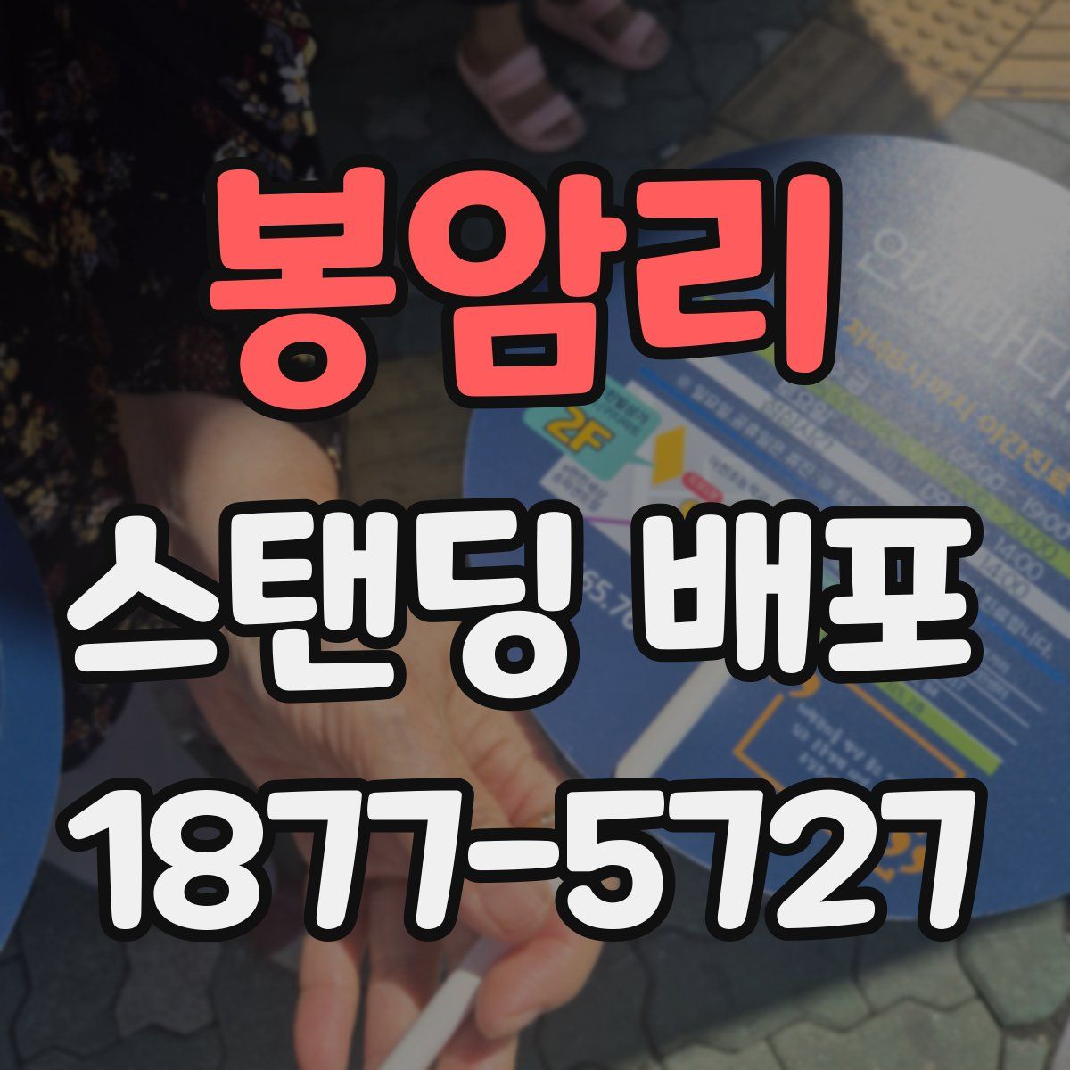 봉암리 스탠딩 배포