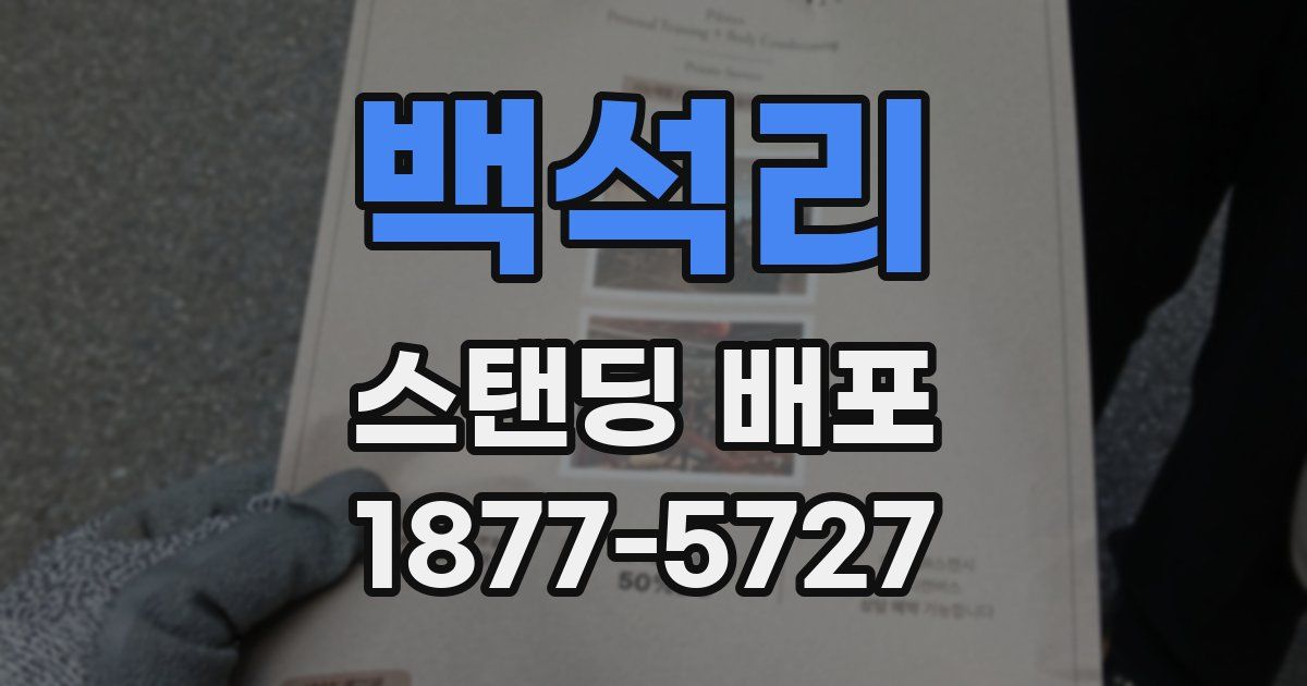 백석리 스탠딩 배포